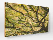 Load image into Gallery viewer, Print on Wood (3-5 working days)