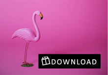 Load image into Gallery viewer, Tropicolor Gift Card