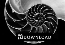 Load image into Gallery viewer, Tropicolor Gift Card